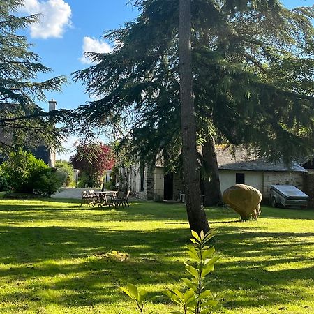 Maison De Charme Saint-Saturnin-sur-Loire Экстерьер фото